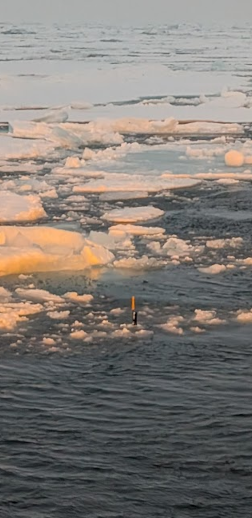Argo Float deployed on Ice edge up up between Greenland and Svalbard