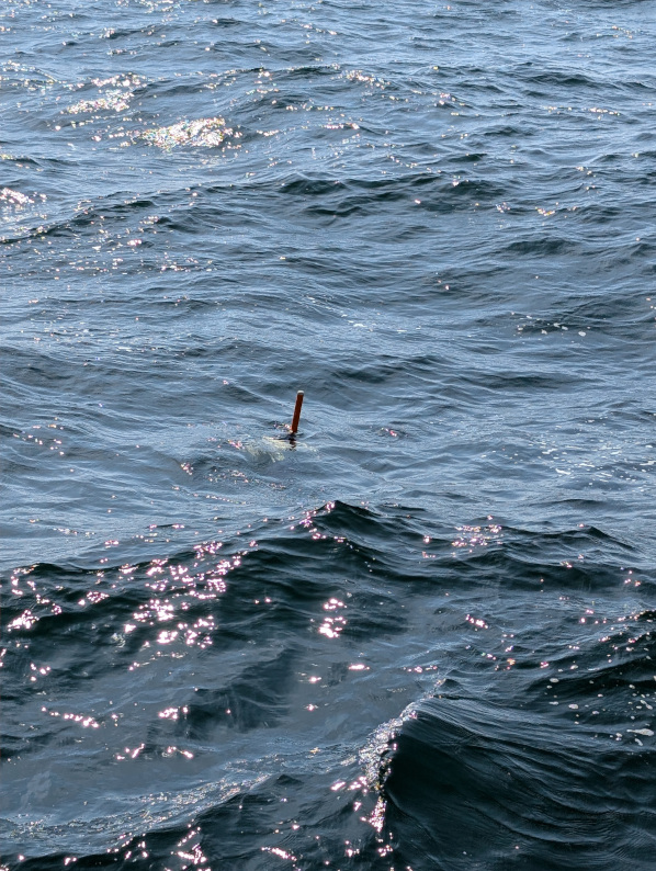 A tethered profiler sitting in the waves post deployment