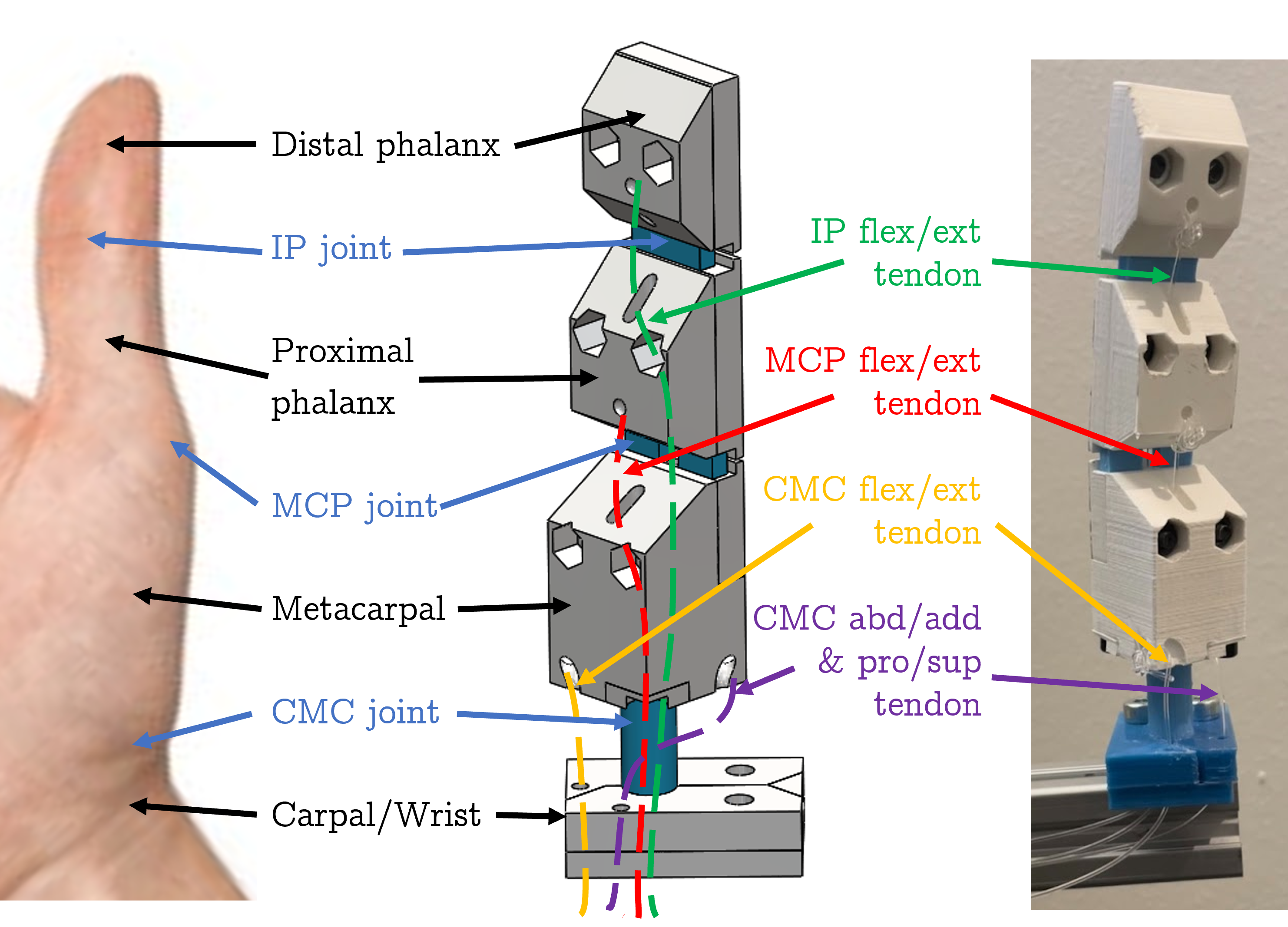 Annotated thumb design